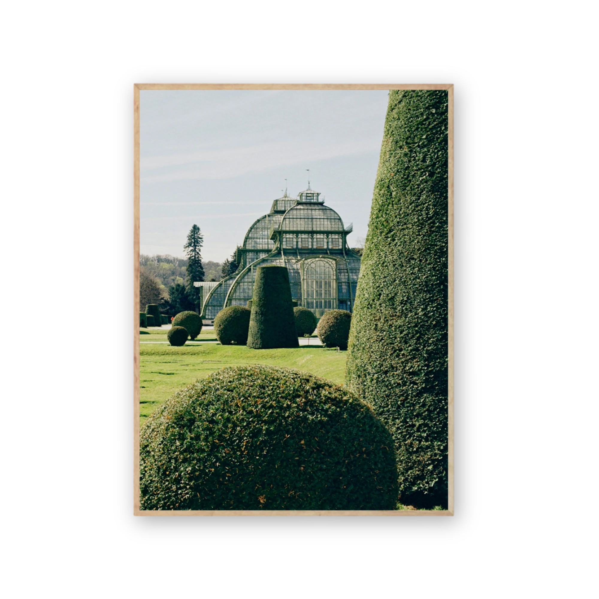 Topiary - Art Print