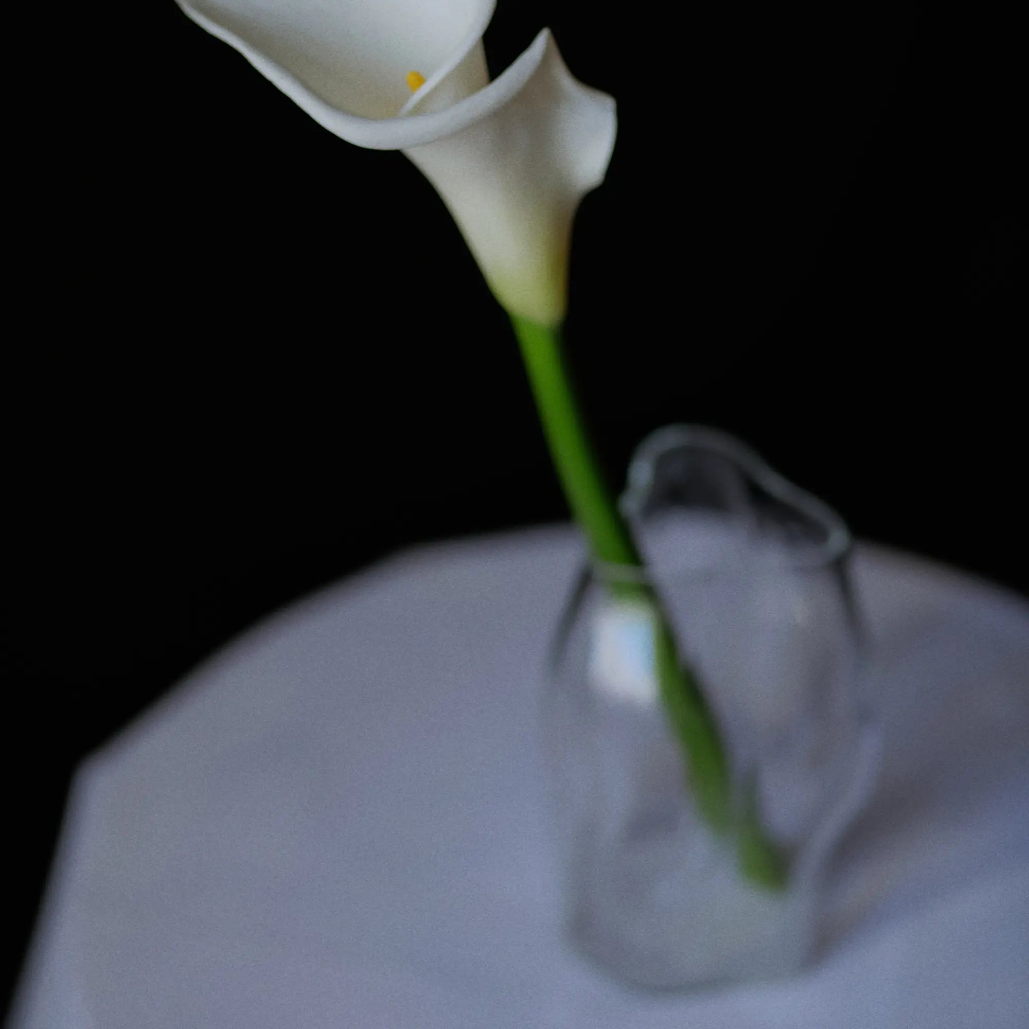 Small matte black vase with a striking silhouette and elegant design