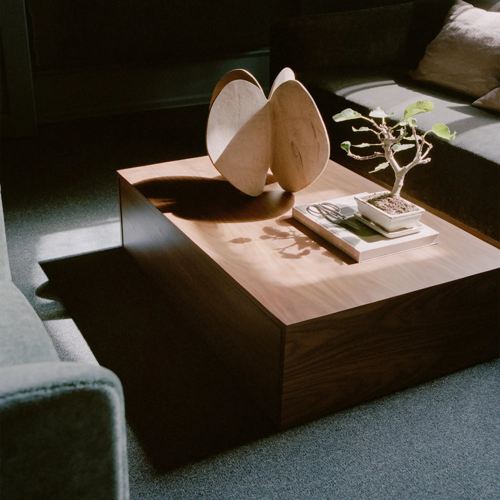  Contemporary and functional coffee table with a convenient drawer