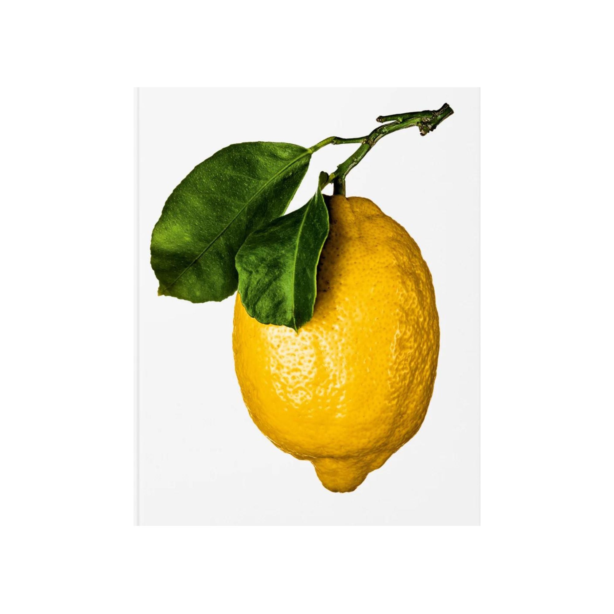 The Gourmand's Lemon. A Collection of Stories and Recipes - THAT COOL LIVING