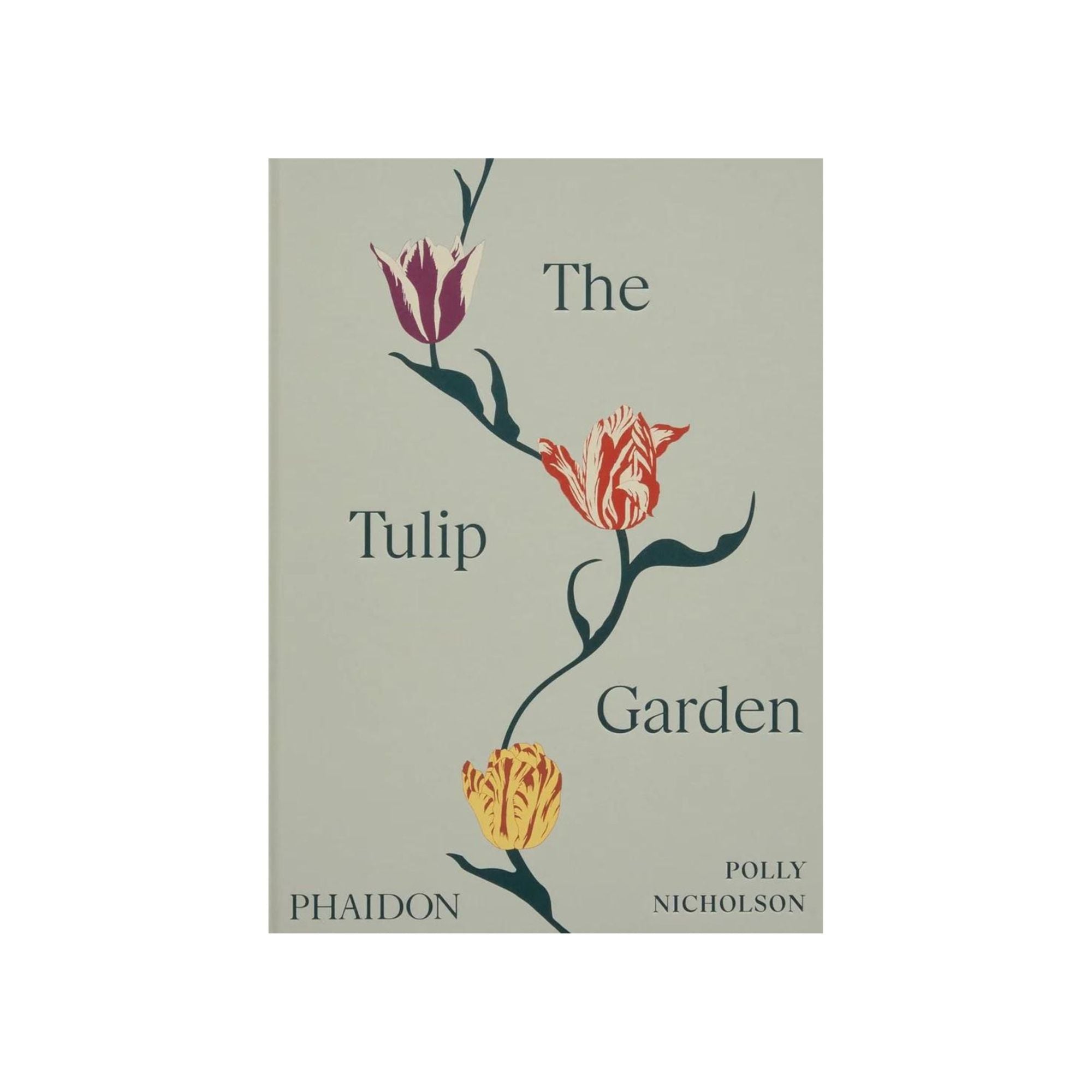 The Tulip Garden